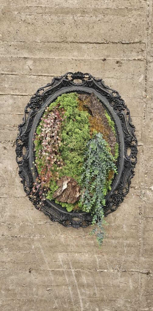 Oval-Moos Moosbild – Möbelmädchen